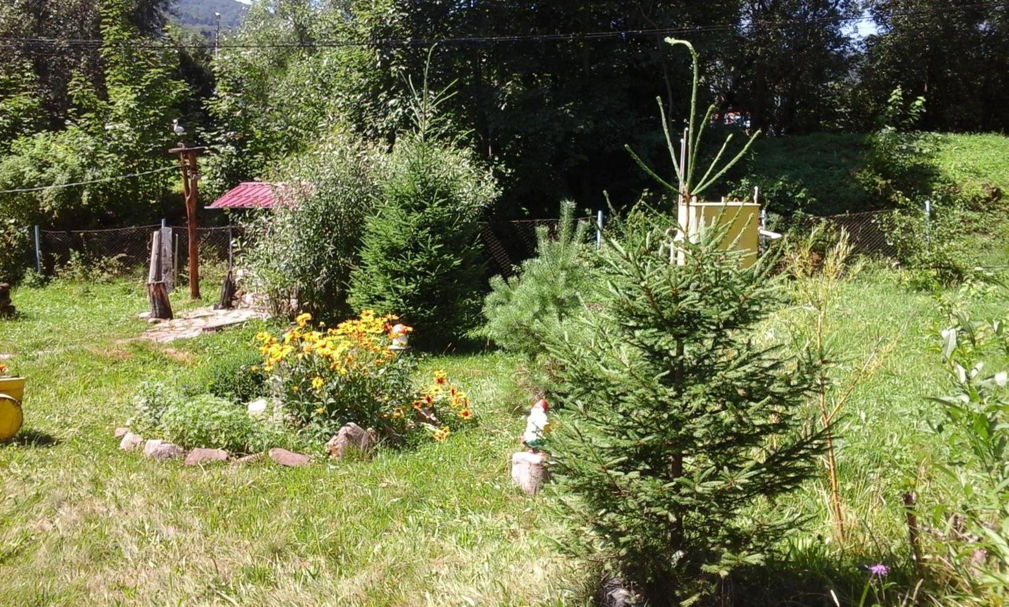 U Pana Ivana Jaremče Pokoj fotografie